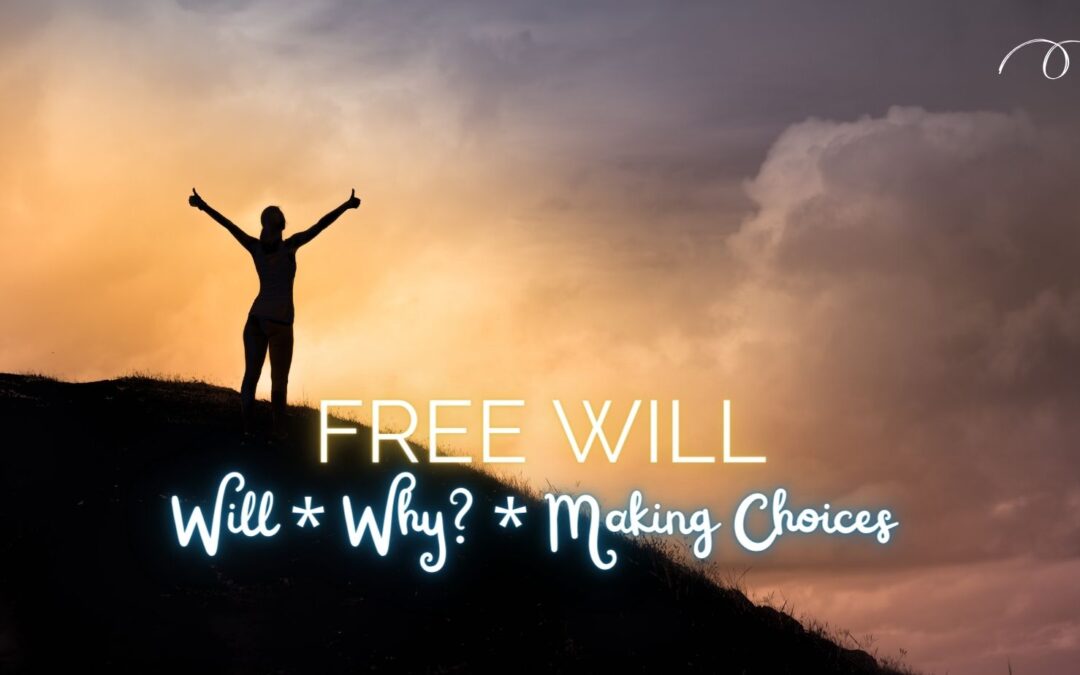 Free Will