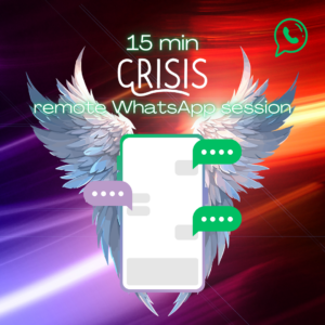 15 Minute Crisis remote session